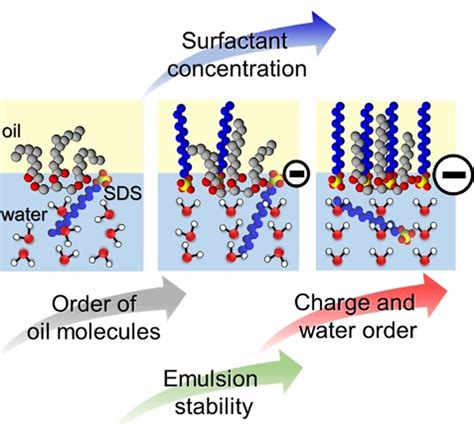 Effect Of Surfactants On The Molecular Structure Of The Buried Oil