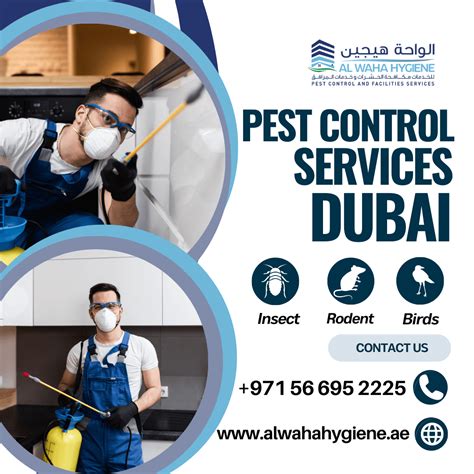 12 Expert Recommended Pest Control Tips For Dubai Residences