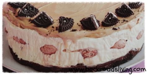 Mocha Ice Cream Cake is just delicious