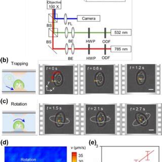 Opto Thermo Electrokinetic Rotation Technique A 3D Schematic