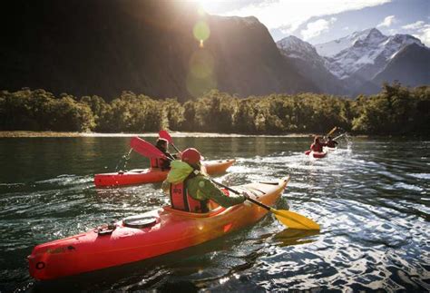 Cruise & Kayak Milford Sound | GetYourGuide