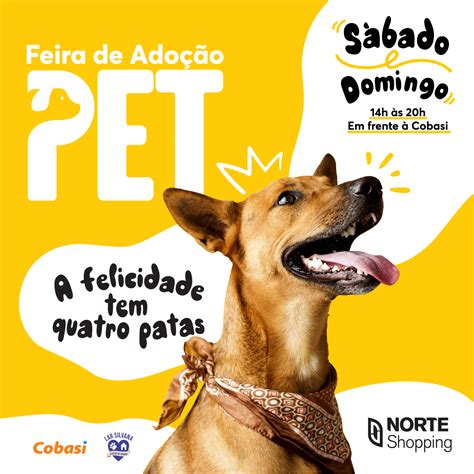 Feira Pet Neste Final De Semana Acontece Norte Shopping