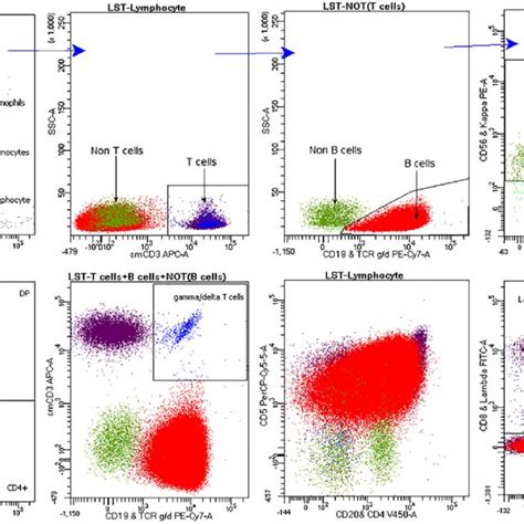 Pdf Multiplexing 8 Colors With 12 Antibodies In A Single Lymphoid