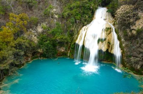 Best Natural Attractions Of Chiapas Mexico Travel Guide