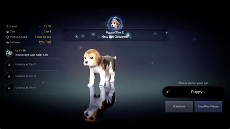 Black Desert Mobile Pets Guide (How to Obtain, Train Skill and Feed ...