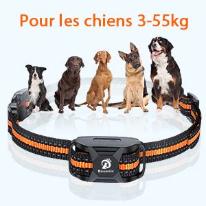 Bousnic Collier De Dressage Pour Chien De M Avec T L Commande Pour