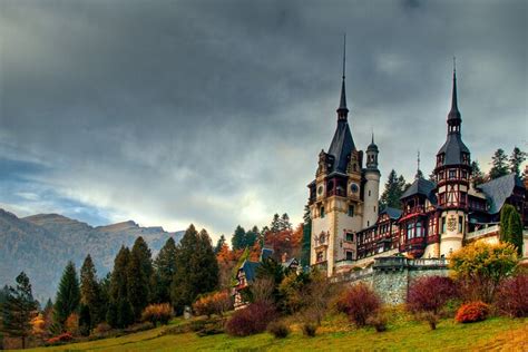 Tripadvisor Private Tagestour Zum B Renschutzgebiet Schloss Bran Und