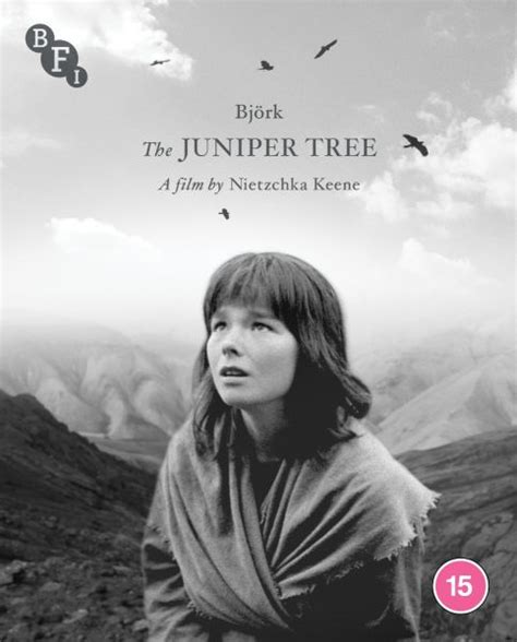 The Juniper Tree 1990 Film Review