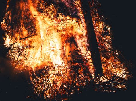 Intensa Celebraci N De Sant Antoni En Villafranca Del Cid