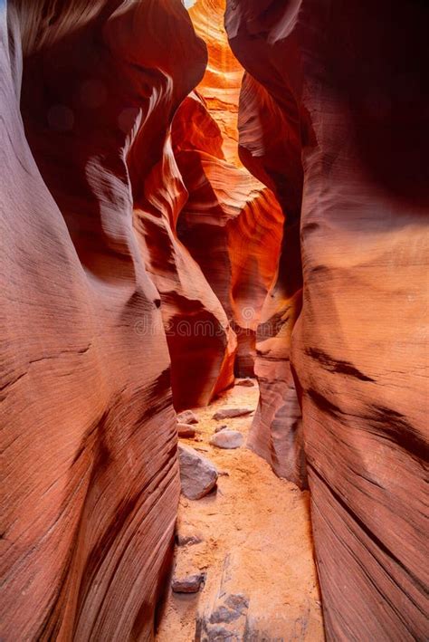 Colorful Sandstone Slot Canyon Stock Photo Image Of Cliff Antelope