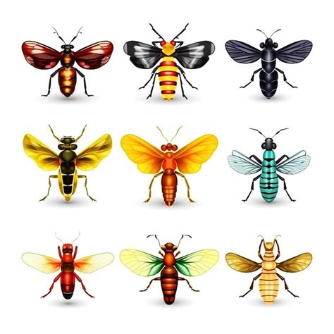 Insect Orthoptera species | Premium AI-generated image