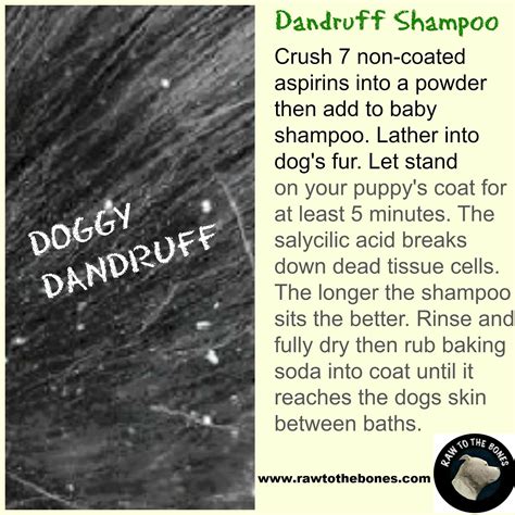 how to help cats with dandruff 4