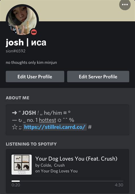 Discord Profile Inspo User Profile Dog Love Profile