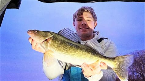 Early Ice Walleyes South Central MN YouTube