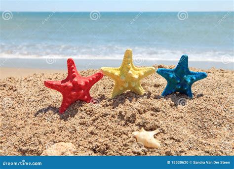 Colorful Starfish On The Beach Stock Photo Image Of Water Yellow