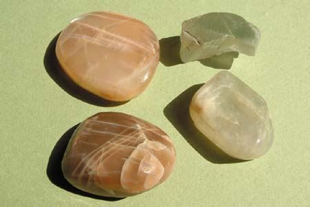 Agate Fossile Coquillage Turitelle Pierre Roul E Sommeil Et Sant