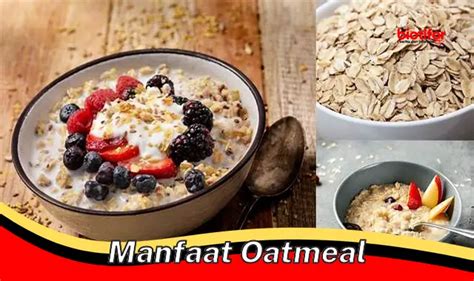 Temukan 5 Manfaat Oat Yang Jarang Diketahui Biotifor