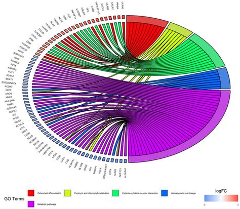 Identification Of Key Genes And Pathways In Myeloma Side Population