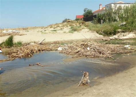 Spiaggia Di Ardea Invasa Da Rifiuti Ed Erbacce Un Degrado Che Dura Da