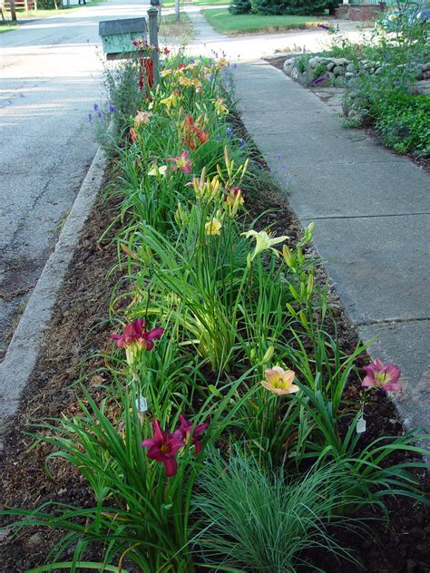 Daylily And Hosta Gardens Simpsonville Sc 29681 | Fasci Garden