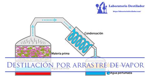 Destilación Por Arrastre De Vapor 2023