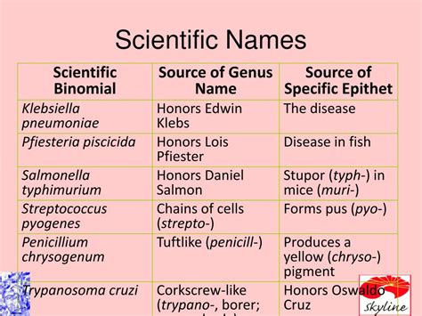 Ppt Ch 10 Taxonomy And Classification Powerpoint Presentation Free Download Id 637749