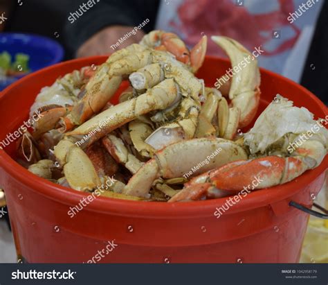 4,502 Crab feed Stock Photos, Images & Photography | Shutterstock