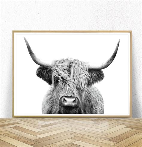 Highland Cow Photography Highland Cow Printbedroom - Etsy