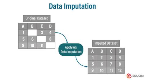 What You Should Know About Data Imputation Educba