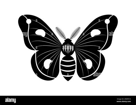 Vecteur De Clipart D Insecte De Papillon Noir Et Blanc Isol Sur Fond