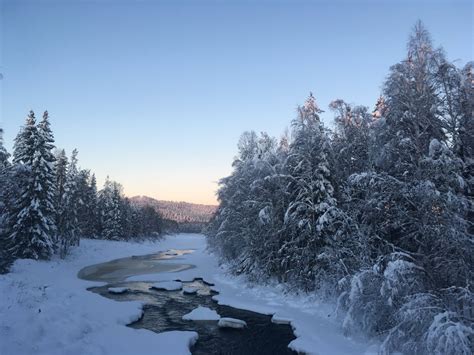 Romantic Swedish Lapland - True Travel