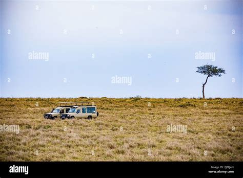 Maasai Mara National Game Reserve Narok County Kenya East Africa Great