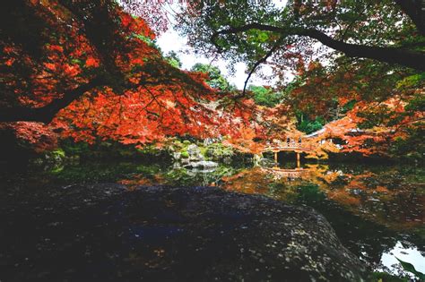 【京都】醍醐寺の観光情報！金堂や五重塔の見どころ