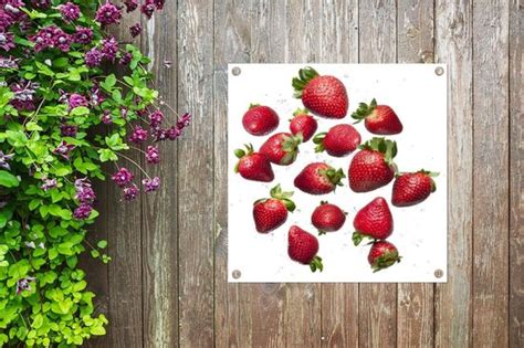 Tuin Decoratie Aardbei Fruit Wit 30x40 Cm Tuindoek Bol