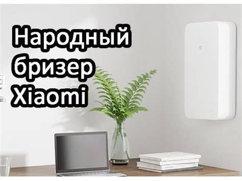 Бризеры стали доступными. Xiaomi Bijia 80 (Biofamily) - YouTube