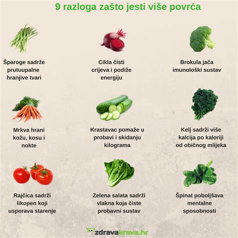 Koje povrće je za tebe Krastavac za mršavljenje ili salata za bolju