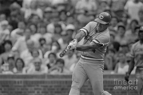 Pete Rose Getting Record Tying Hit Photograph By Bettmann Fine Art