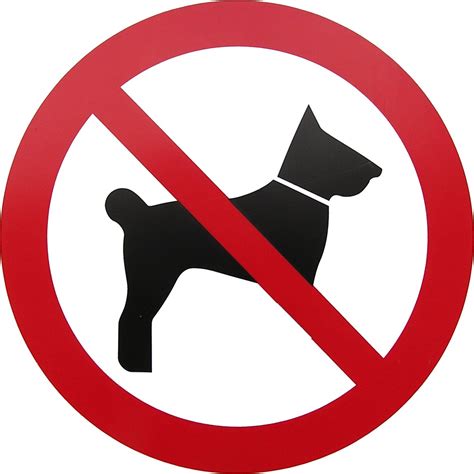 No Dogs Allowed Free Photo Download Freeimages