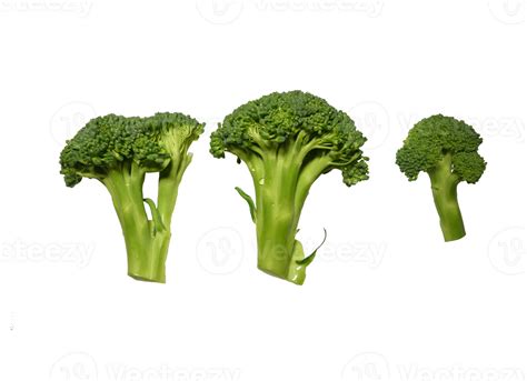 Broccoli Png Transparent Background 29711369 Png