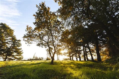 Beg Meil Coin De Paradis En Bretagne Lecoconbyfc Nature Paysage