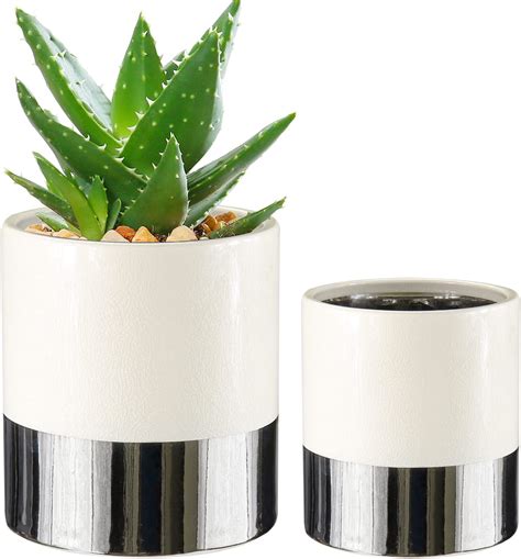 Oairse Lot de 2 Pots de Fleurs en céramique pour Plantes grasses Pot