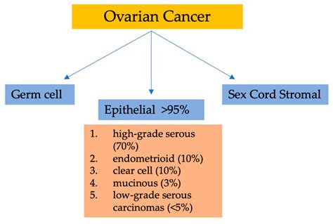 Life Free Full Text Tumor Markers And Their Diagnostic Significance In Ovarian Cancer