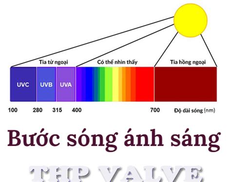 Ánh sáng là gì Có những loại ánh sáng nào