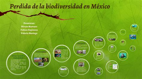 Perdida De La Biodiversidad En Mexico By Valeria Noriega On Prezi