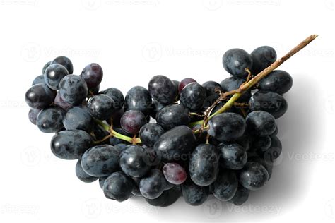 black grapes isolated  white background  stock photo  vecteezy
