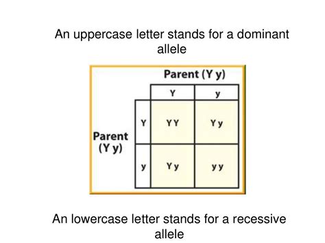 Genetics and Heredity