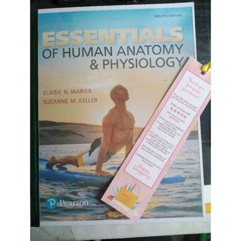 Essentials Of Human Anatomy And Physiology 12th Ed Pearson Lazada Ph