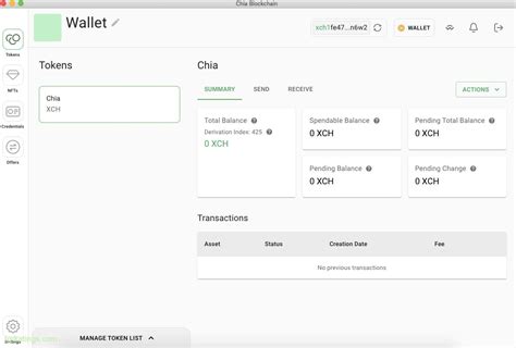 How to Mine Chia (XCH) in 2023 - Step By Step Guide for Beginners