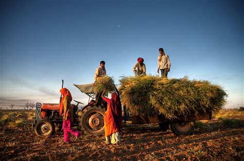 National Bank for Agriculture and Rural Development’s Rs 486 crore for ...