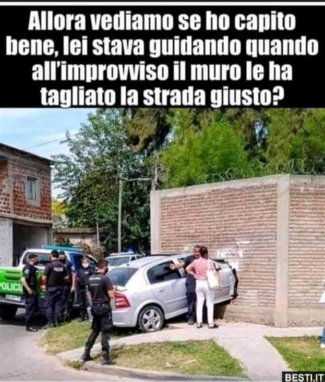 Allora Vediamo Se Ho Capito Bene BESTI It Immagini Divertenti